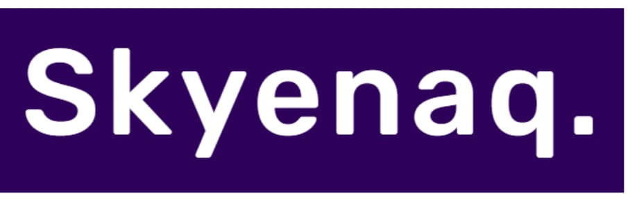 Skyenaq Logo